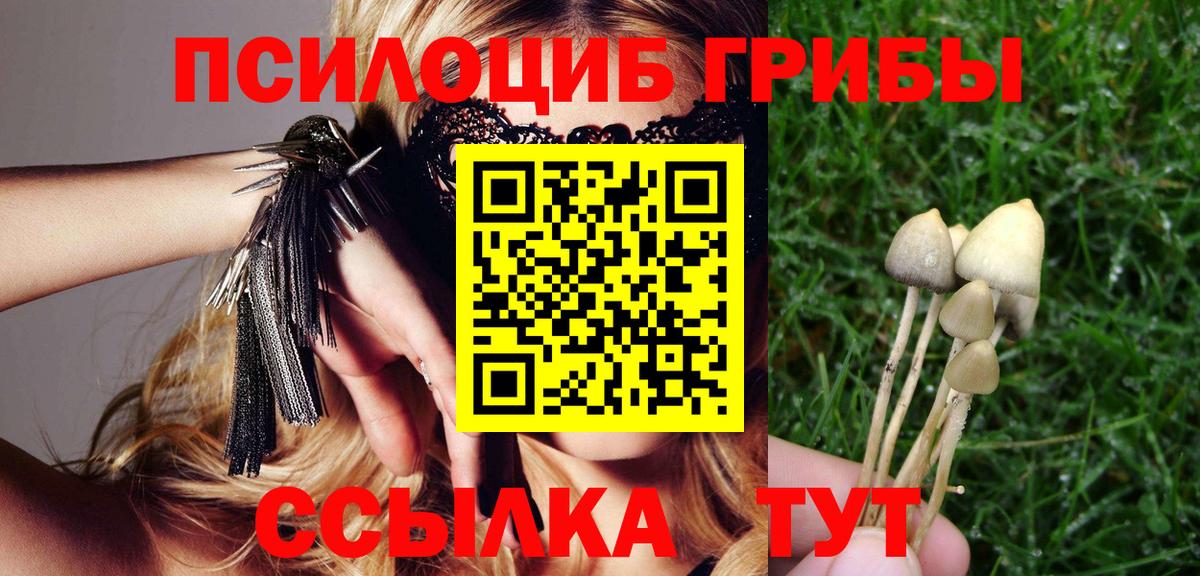 Галлюциногенные грибы ЛСД Котельники