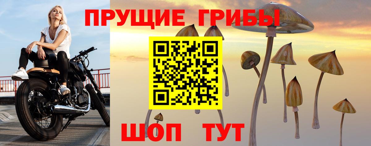 Галлюциногенные грибы Psilocybine cubensis  Вход с VPN  Котельники 